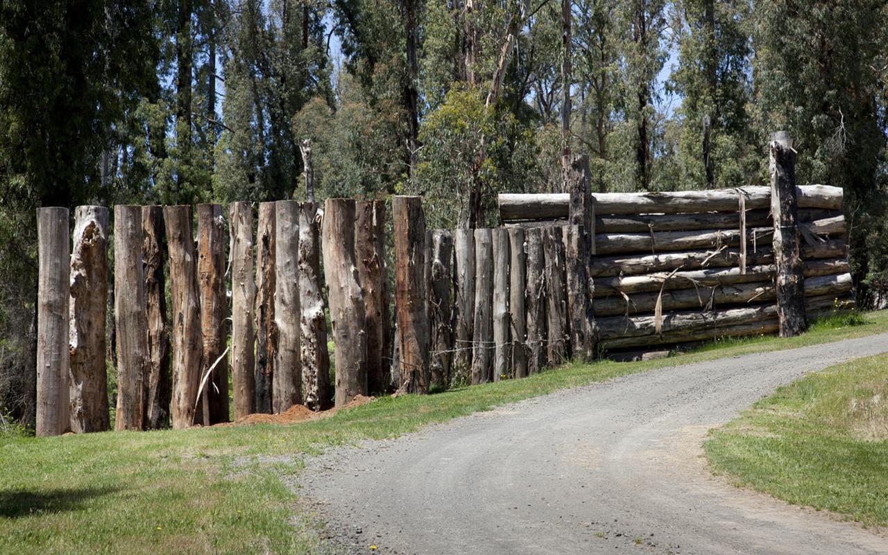 Saladin Lodge Narbethong Buitenkant foto