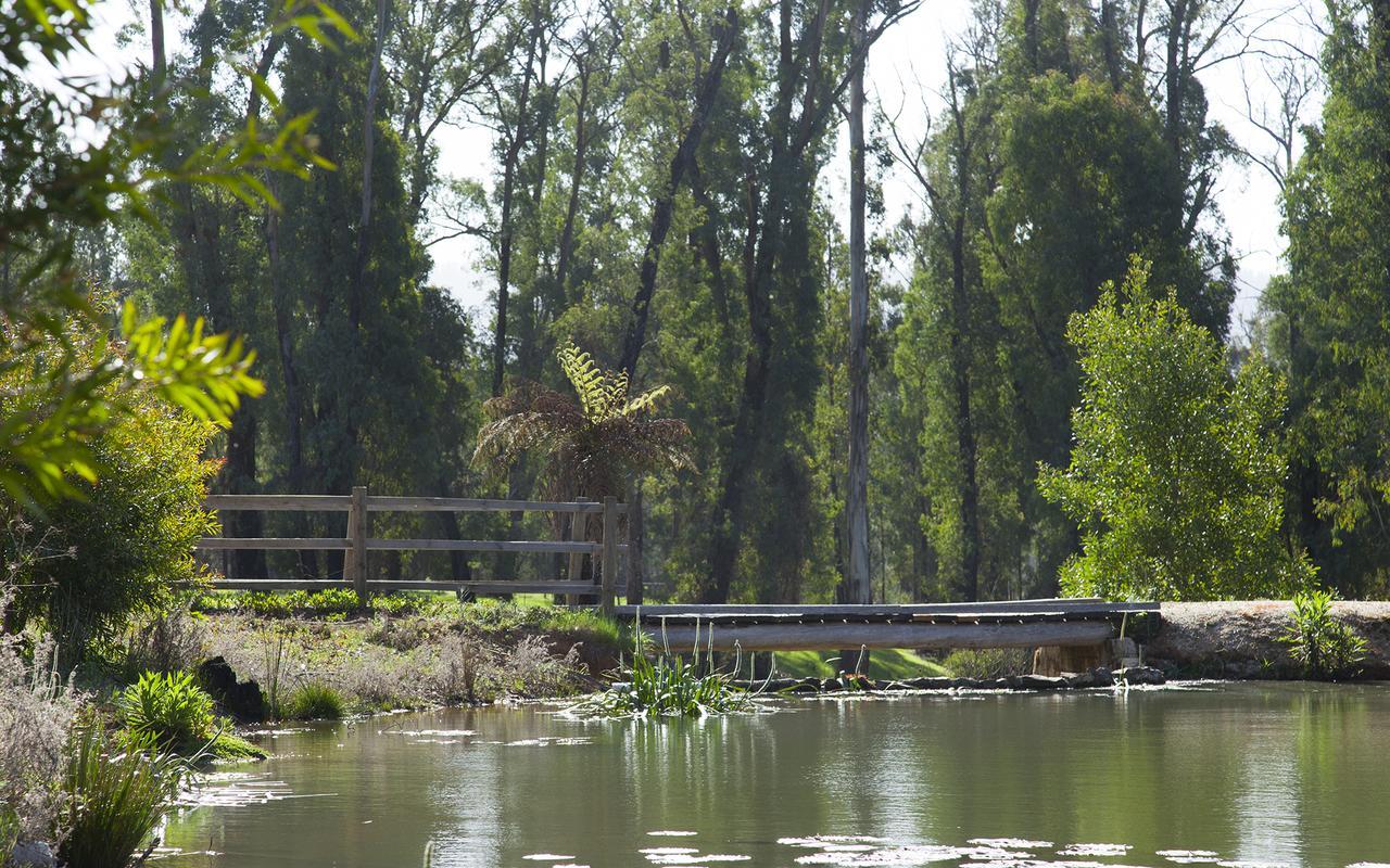 Saladin Lodge Narbethong Buitenkant foto