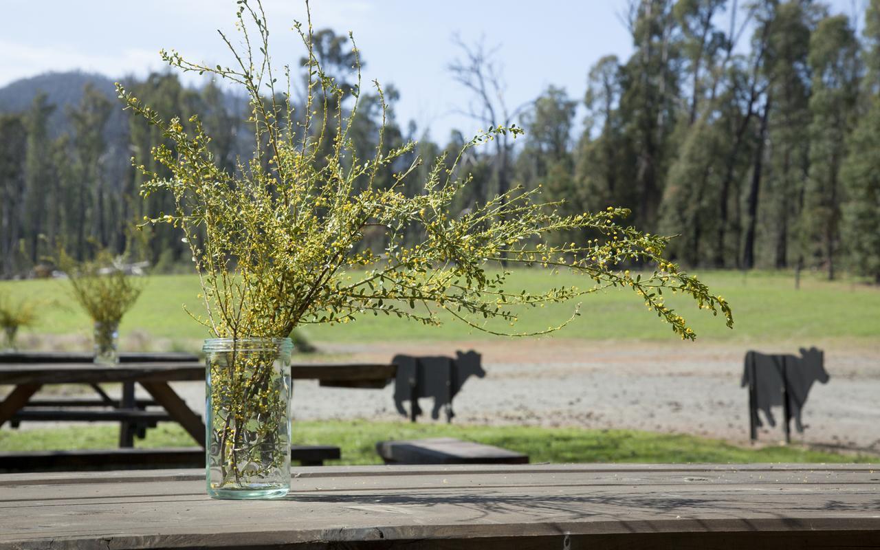 Saladin Lodge Narbethong Buitenkant foto