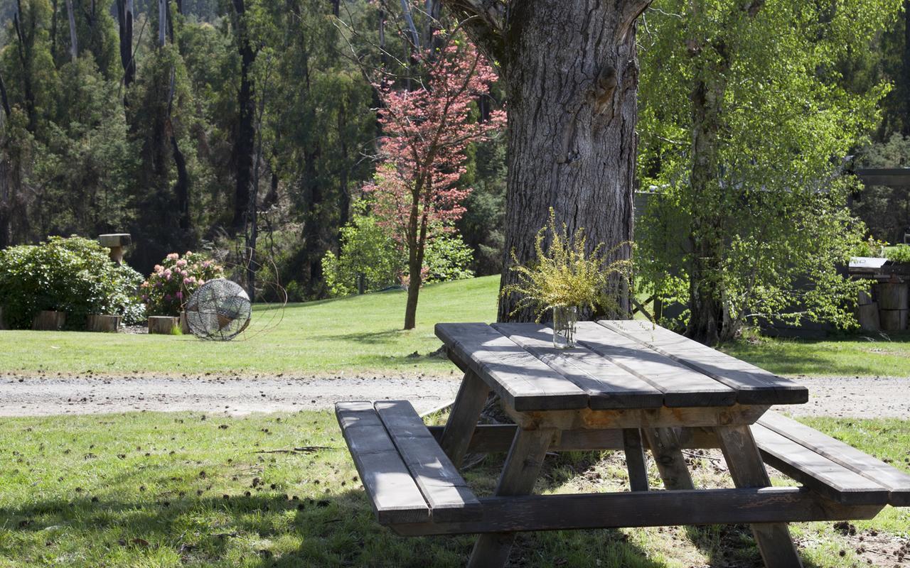 Saladin Lodge Narbethong Buitenkant foto
