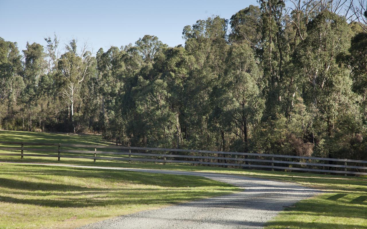Saladin Lodge Narbethong Buitenkant foto