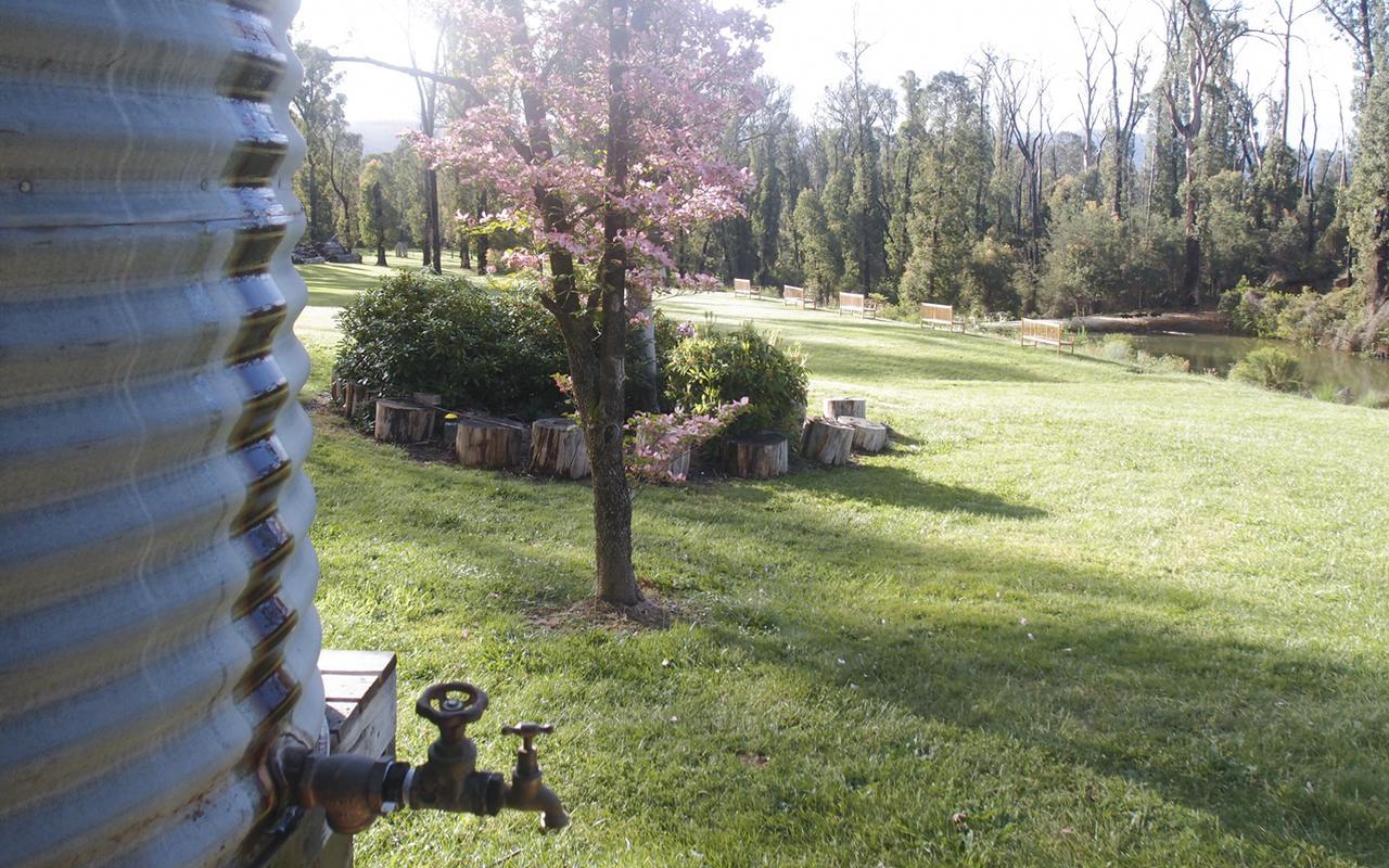 Saladin Lodge Narbethong Buitenkant foto