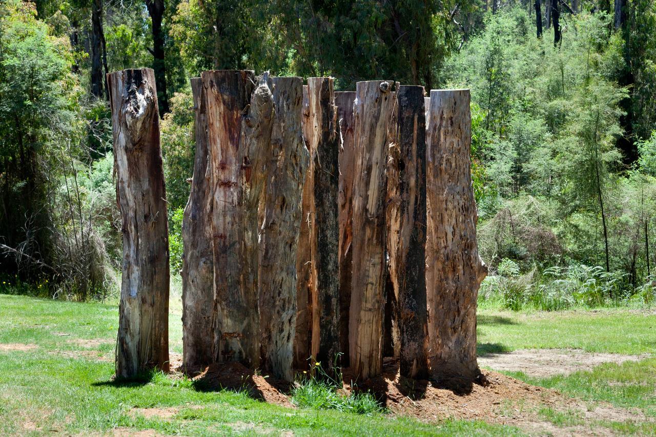 Saladin Lodge Narbethong Buitenkant foto